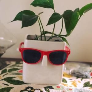 Meet your Posher, Abby